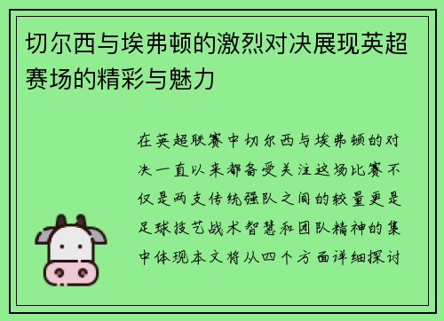 切尔西与埃弗顿的激烈对决展现英超赛场的精彩与魅力