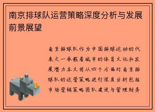 南京排球队运营策略深度分析与发展前景展望